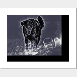 Beauceron Posters and Art